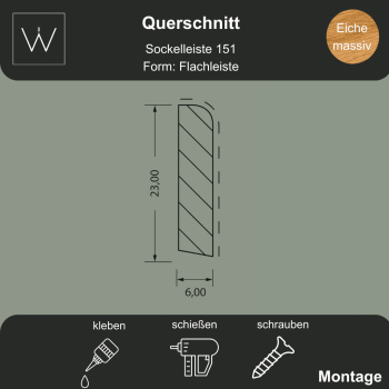 Querschnitt Flachleiste 151 Eiche Massiv